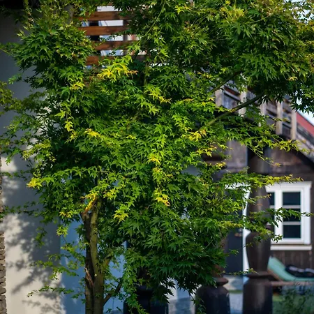 Swiniarsko Z Basenem * Podrzecze