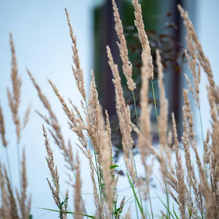 Swiniarsko Z Basenem Vila Podrzecze